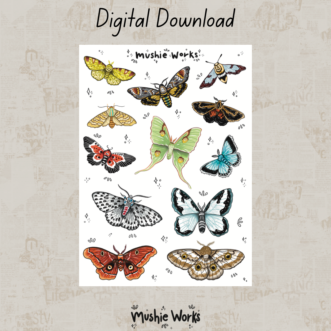 Majestic Moths - Digital Download