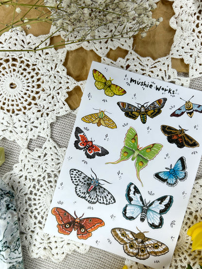 Majestic Moths
