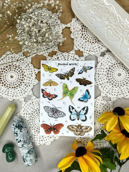 Majestic Moths